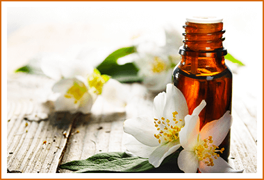 YGXe r܃i`I[KjbNXpyNatural Organic Spaz At^[PA